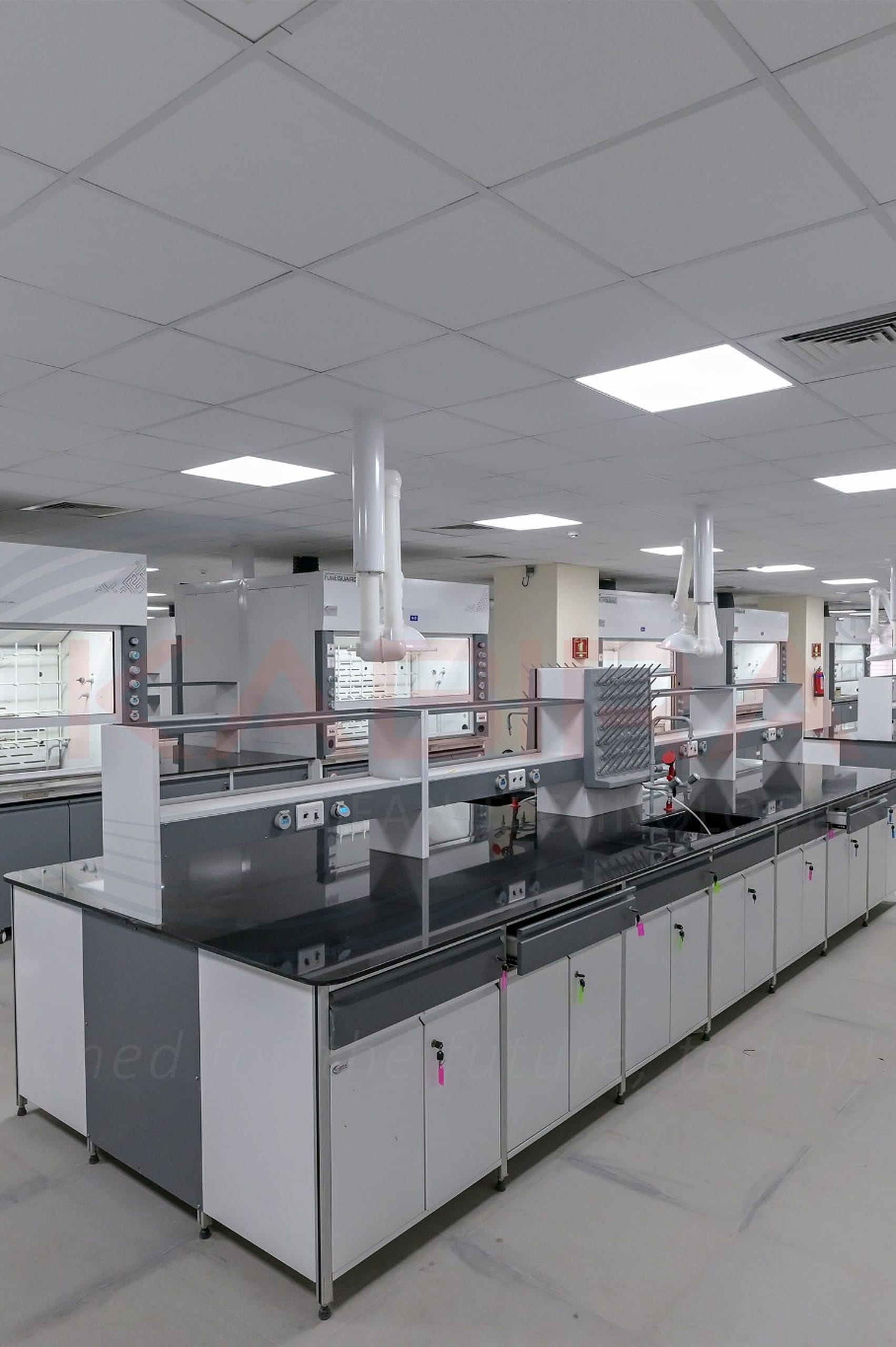 DSC_8323 Y32_1703x2560